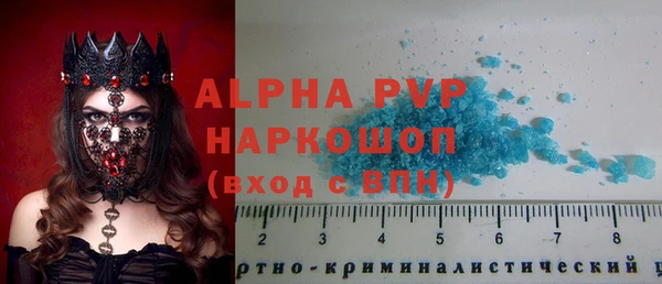 сатива Аркадак