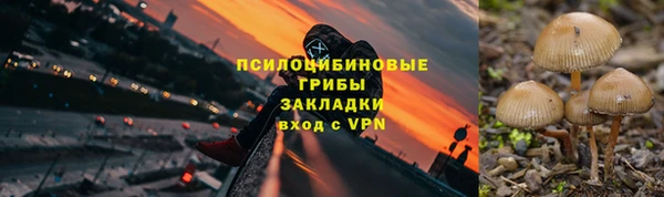 2c-b Алексин