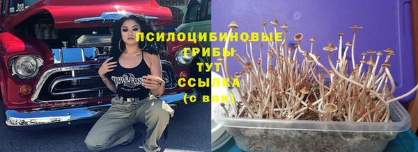 MESCALINE Алзамай