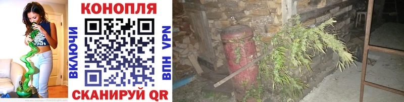Конопля тримм  Черноголовка 